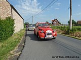 Zandlemig Vlaanderen